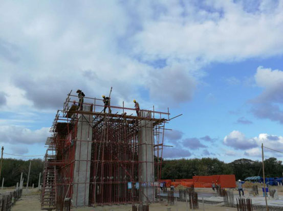 泰国PTG 1X100t/h+1X24MW生物质发电项目